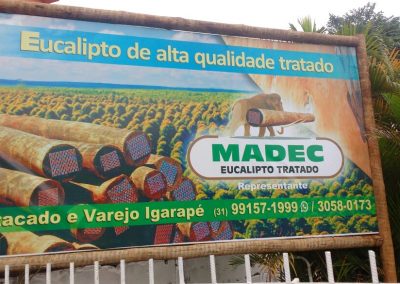 eucalipto em igarapé
