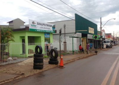 eucalipto em igarapé