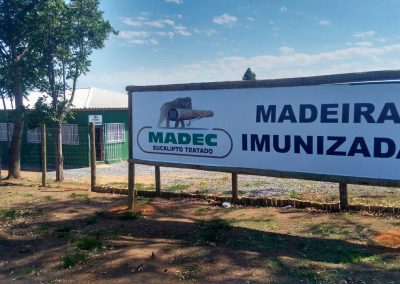 madec eucalipto imunizado (10)