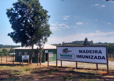 madec eucalipto tratado